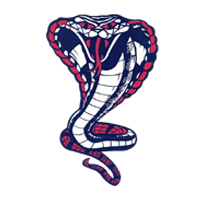 Valley East Cobras Logo